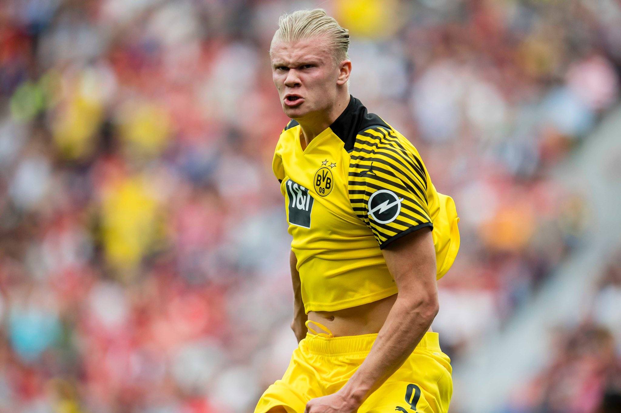 历届足协杯冠军：近四年四支冠军，国安第5次夺冠