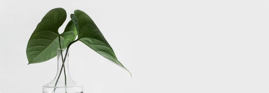 Explore Our Latest Case Studies - 球友体育